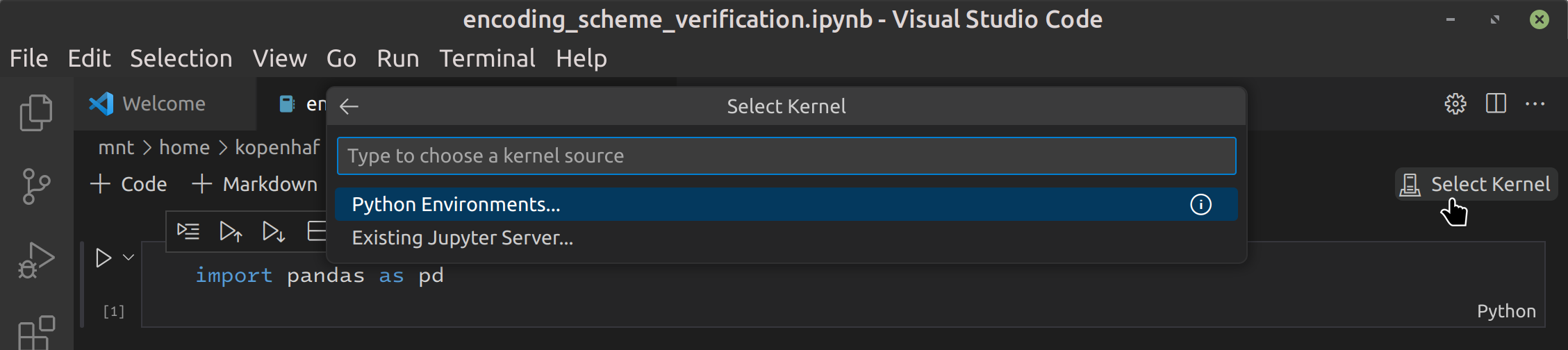 Screenshot of the VS Code Kernel Selection menu with "Python Environments..." highlighted