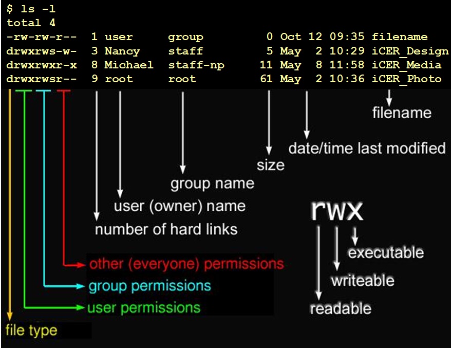 A terminal window showing the output of the ls -1 command, listing directory entries with metadata including permissions, owner, group, size, and timestamps. Below the listing, explanatory labels break down Unix/Linux file permissions, including user/group/other access rights (read, write, execute), file types, ownership details, and hard link counts. The terms "rwx" which stands for "readable," "writeable," and "executable," are highlighted, illustrating a guide to interpreting permission strings in command-line environments.