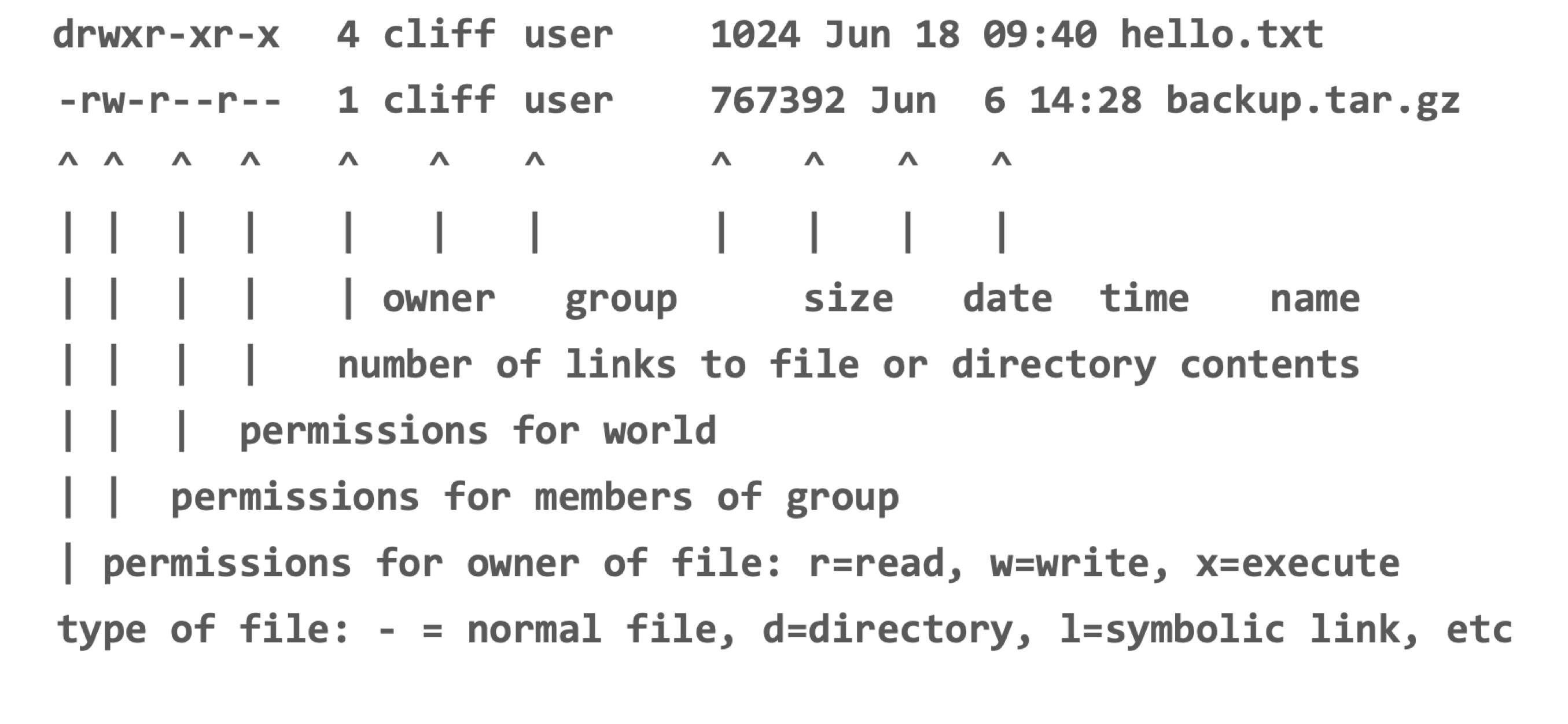 Output of ls -a showing two files on separate lines. Each file has a list of permissions explained below, followed by the owner, group, size, and date of modification.