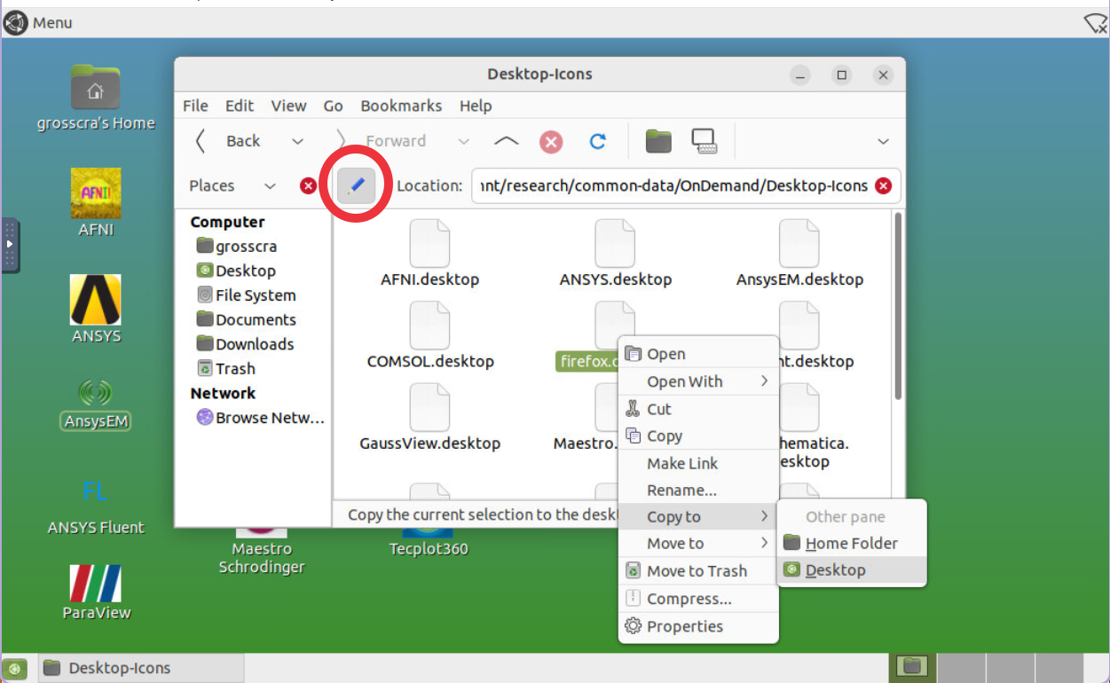 Screenshot of the interactive desktop window showing the right click menu of an application icon, with Copy to Desktop highlighted. A small pencil icon above the file listing is circled in red.