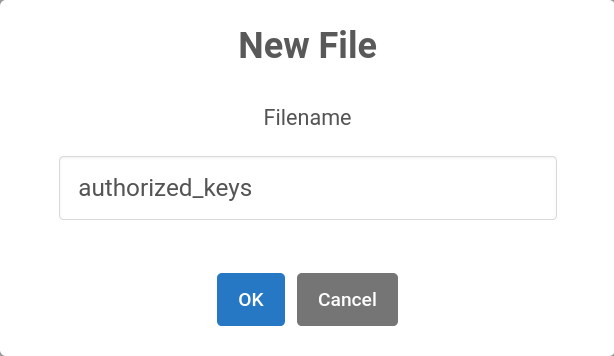 OnDemand file browser New File dialog with "authorized_keys" entered as file name